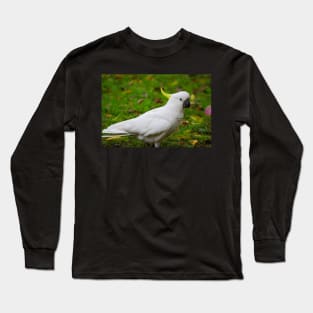 Hello Cocky! Long Sleeve T-Shirt